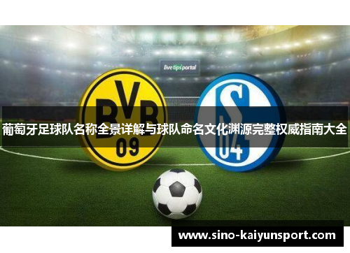 葡萄牙足球队名称全景详解与球队命名文化渊源完整权威指南大全