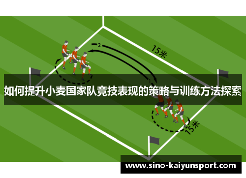 如何提升小麦国家队竞技表现的策略与训练方法探索 如何提升小麦国家队竞技表现的策略与训练方法探索