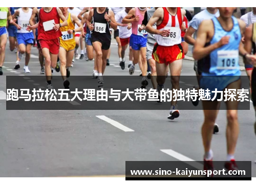 跑马拉松五大理由与大带鱼的独特魅力探索 跑马拉松五大理由与大带鱼的独特魅力探索