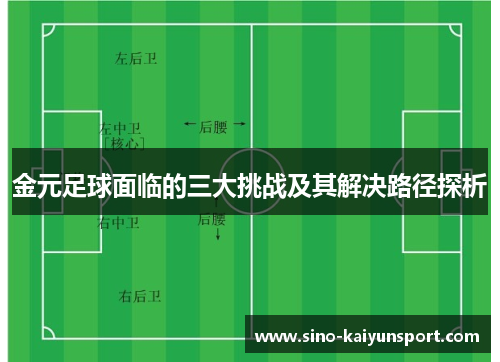 金元足球面临的三大挑战及其解决路径探析