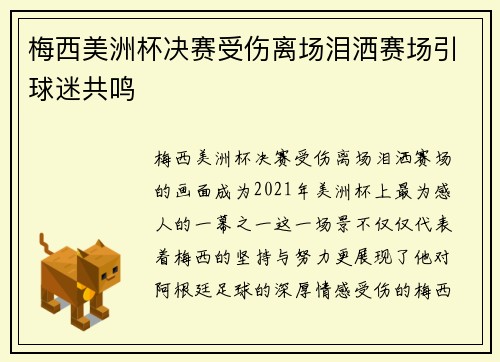 梅西美洲杯决赛受伤离场泪洒赛场引球迷共鸣 梅西美洲杯决赛受伤离场泪洒赛场引球迷共鸣